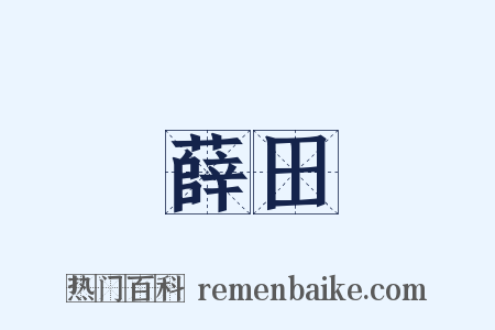 薛田是什么意思的图片